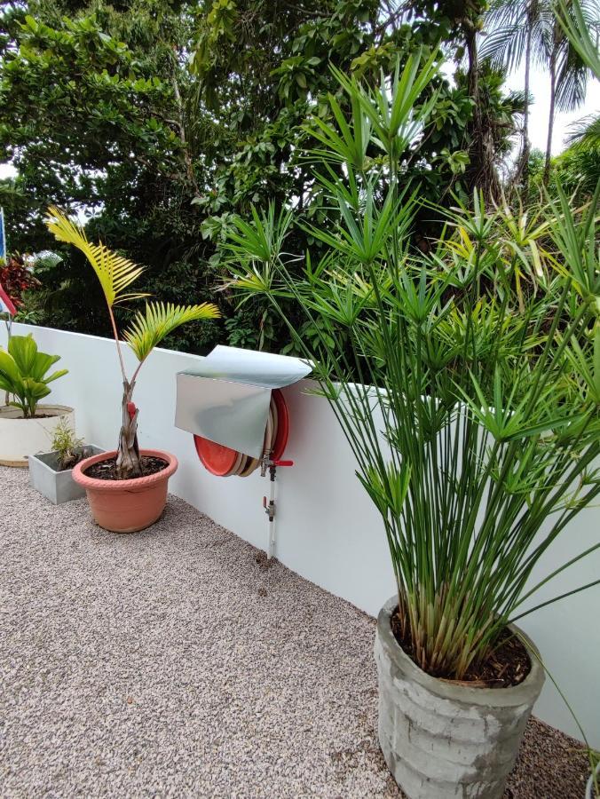 Riverside Mount Simpson - Seychelles Island Beau Vallon  Exterior foto
